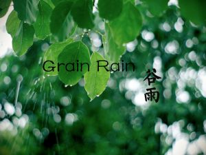 “Rodovitno deževje”(谷雨 Gǔ yǔ) ali 6. sončno obdobje