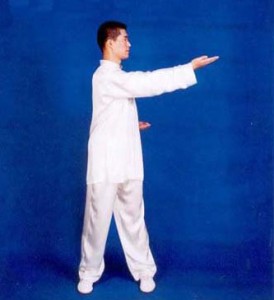 lzj1