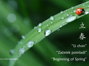 Začetek pomladi (立 春 Lìchūn) ali 1. sončno obdobje in kratki nasveti
