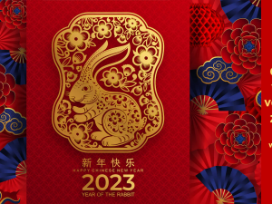 Kitajsko novo leto ali Praznik pomladi – zgodovina, razvoj, običaji in navade